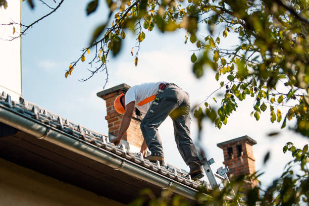 Best Sealant for Roof  in Tishomingo, OK